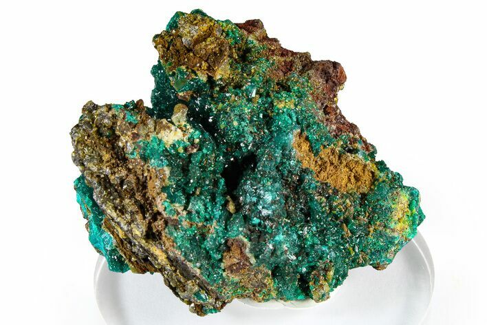 Sparkling Dioptase Crystals with Mimetite - N'tola Mine, Congo #372227